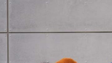 Inmigrantes en Chicago