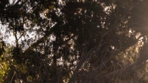 Innovación y sostenibilidad con el Crosstrek Hybrid 2026