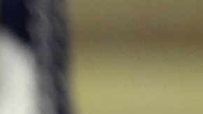 James David Vance, vicepresidente la de nación