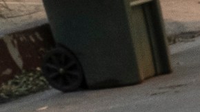 Joaquín Torres corta un árbol caído y limpia el área en Pasadena.