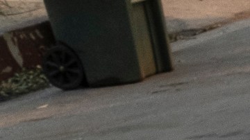 Joaquín Torres corta un árbol caído y limpia el área en Pasadena.