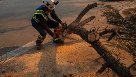 Joaquín Torres corta un árbol caído y limpia el área en Pasadena.