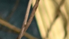 El abogado de Justin Baldoni dice que no se dejará "intimidar" por Blake Lively y Ryan Reynolds