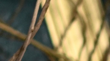 El abogado de Justin Baldoni dice que no se dejará "intimidar" por Blake Lively y Ryan Reynolds