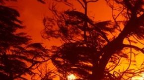 Los bomberos luchan contra el incendio de Palisades en el vecindario de Pacific Palisades en Los Ángeles.