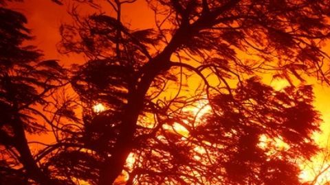 Los bomberos luchan contra el incendio de Palisades en el vecindario de Pacific Palisades en Los Ángeles.