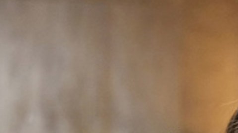 Kristi Noem, gobernadora de Dakota del Sur