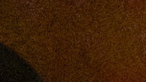 Timothée Chalamet, Kylie Jenner