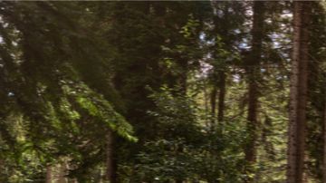 La Jeep Avenger EV 2024, un modelo para todos los gustos