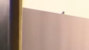 Laboratorio de fentanilo