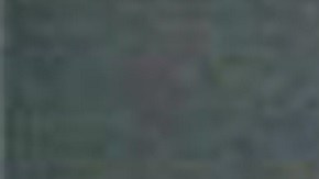 fue entregado a las autoridades federales de inmigración y trasladado a la cárcel del condado de Boone en Burlington, Kentucky