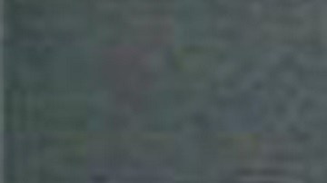 fue entregado a las autoridades federales de inmigración y trasladado a la cárcel del condado de Boone en Burlington, Kentucky