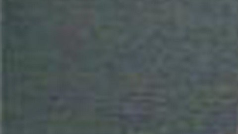fue entregado a las autoridades federales de inmigración y trasladado a la cárcel del condado de Boone en Burlington, Kentucky