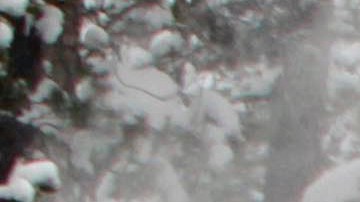 FILE - This Feb. 28, 2012 file photo shows a snow blower clearing a road after an overnight storm dropped several inches of snow near Echo Summit Calif. The weather forecast for this winter is mostly a shrug of the shoulders. For most of the nation, the National Oceanic Atmospheric Administration (NOAA) predicts equal chances for unusual warmth, cold, snow, rain and even average weather. Thats because certain global weather factors, like El Nino, arent big and apparent. (AP Photo/Rich Pedroncelli, File)