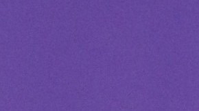 Marc Anthony y Nadia Ferreira (1)