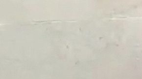 Mayela Laguna acude con su hijo Apolo al Instituto de Ciencias Forenses de la capital mexicana para hacerse una prueba de ADN y comprobar si el pequeño es hijo de Luis Enrique Guzmán o no/México, 21 de agosto 2024.