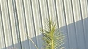 Memorial a Édgar Guzmán López