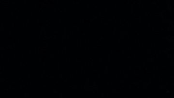 Michelle Renaud Matías Novoa Italia