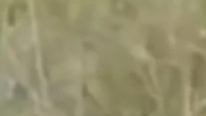 Marco Antonio Sánchez Muñoz