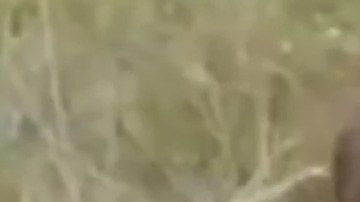 Marco Antonio Sánchez Muñoz