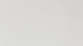 Minerva Robles Ortega