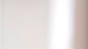 Nadia Ferreira Marc Anthony aniversario