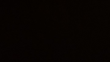 Netflix espera que sus ingresos anuales puedan superar los $43,500 millones de dólares