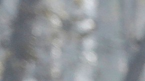 Trump y Newsom recorrieron juntos la ciudad de Paradise arrasada en un incendio en 2018.