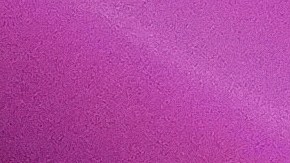 Premios Oscar 2025: Sin actuaciones musicales en vivo por primera vez en 90 años.