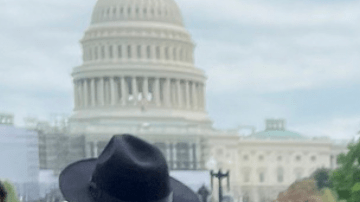 Hilton compartió que ella y su familia vivieron la angustia de ver su casa arder en vivo por televisión. Describió la experiencia como "devastadora" y un dolor indescriptible, al ver cómo su hogar se consumía por las llamas, algo que jamás imaginó vivir.