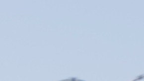 Los Angeles School District police patrols the district's bus garage in Gardena, Calif., Tuesday, Dec. 15, 2015. The nation's two biggest school systems, New York City and Los Angeles, received threats of a large-scale attack Tuesday, and L.A. reacted by shutting down the entire district. New York dismissed the warning as an amateurish hoax and held class as usual. In LA, the threat came in the form of an email to a school board member that raised fears of another attack like the recent deadly shooting in nearby San Bernardino. (AP Photo/Damian Dovarganes)