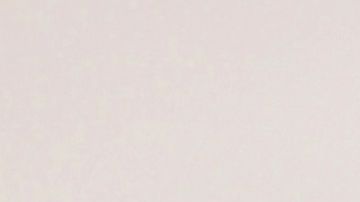 Paulo Quevedo Cristina Porta