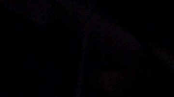 Isaac 'Pitbull' Cruz