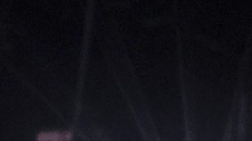 Isaac 'Pitbull' Cruz'