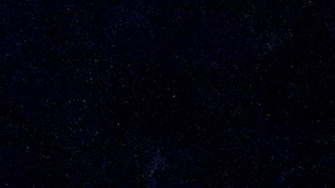 Detienen en Florida a tres cubanos que transportaban a más de 20 inmigrantes en camión de mudanza