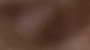 Precios de los huevos en EE.UU.