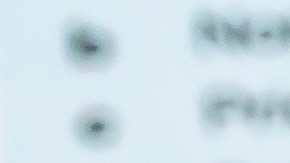 Reembolso de impuestos EITC