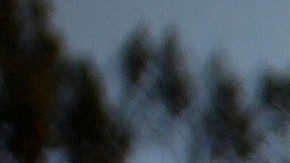 Kevin Marshall sifts through his mother's fire-ravaged property in the the Palisades Fire in the Pacific Palisades neighborhood of Los Angeles, Saturday, Jan. 11, 2025. (AP Photo/John Locher)