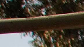 Kaegan Baron, left, and Oliver Braren sift through the home of Kaegan's mother after it was destroyed by the Palisades Fire in the Pacific Palisades neighborhood of Los Angeles, Saturday, Jan. 11, 2025. (AP Photo/John Locher)