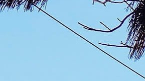 The residence of Zhi-feng Zhao, destroyed by the Eaton Fire, is seen Wednesday, Jan. 15, 2025, in Altadena, Calif. (AP Photo/Damian Dovarganes)