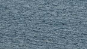 Los Angeles (United States), 16/01/2025.- People look out over the remains of a burned down neighborhood in the Pacific Palisades neighborhood in Los Angeles, California, USA, 15 January 2025. According to the National Weather Service, much of Southern California is under an elevated fire risk, as the Santa Ana winds have returned and are predicted to affect the area. The Los Angeles County Medical Examiner's Office has stated that the suspected death toll from the Los Angeles fires now stands at 25 as search and rescue teams, both local and abroad, search the affected fire areas. (incendio forestal) EFE/EPA/CAROLINE BREHMAN