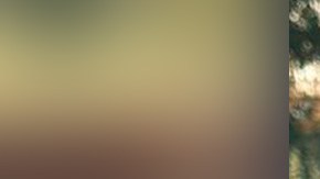 Ricardo Torres Urías