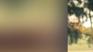 Ricardo Torres Urías