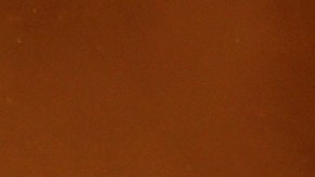 A firefighter battles the Palisades Fire in Mandeville Canyon Saturday, Jan. 11, 2025, in Los Angeles. (AP Photo/Jae C. Hong)