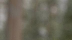 Rudy Giuliani, exalcalde neoyorquino