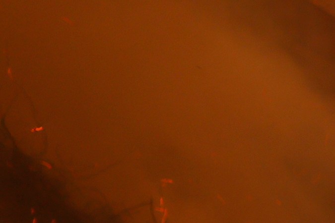 A firefighter battles the advancing Palisades Fire around a structure in the Pacific Palisades neighborhood of Los Angeles Tuesday, Jan. 7, 2025. (AP Photo/Etienne Laurent)