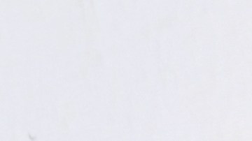 ¿Cuáles son los estados en EE.UU. que no gravarán sus beneficios del Seguro Social?