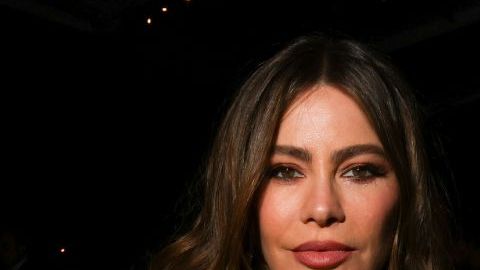Sofía Vergara y Hamilton
