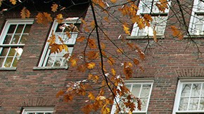 Soldado estadounidense