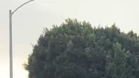 Maestros y activistas entregan una tarjeta roja con los derechos de los migrantes.
